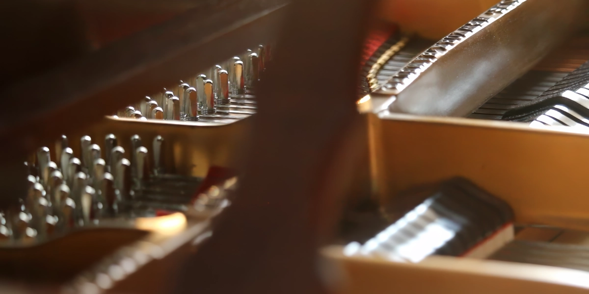The strings and hammers inside of a grand piano